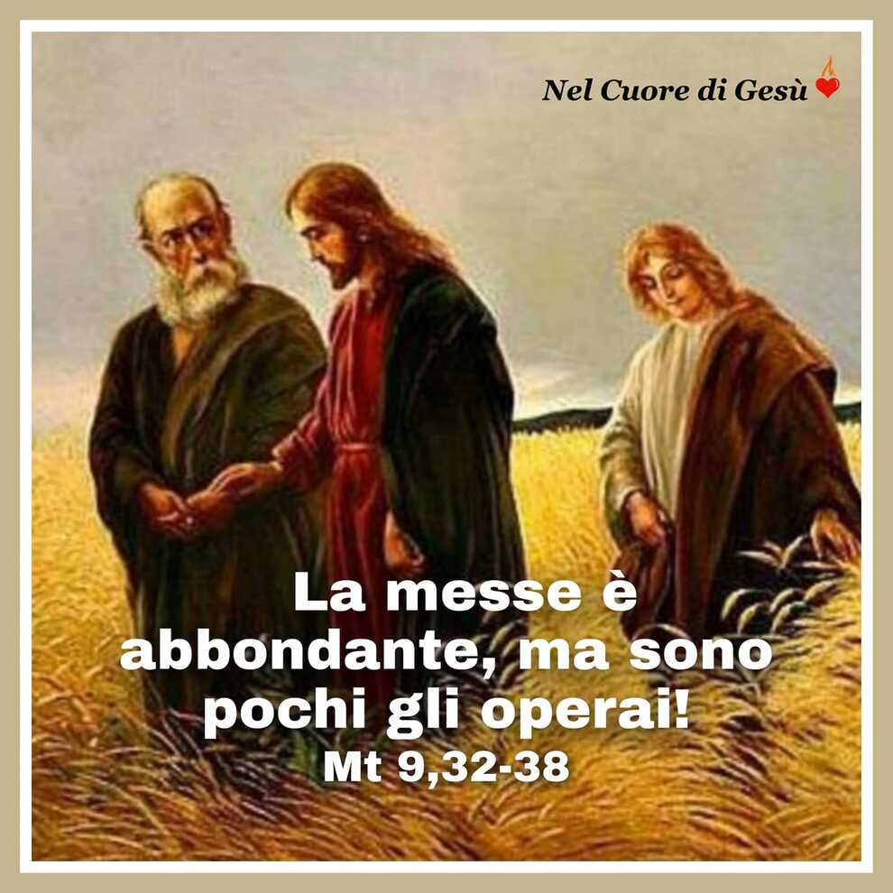 La messe è abbondante, ma sono pochi gli operai! Mt 9, 32-38