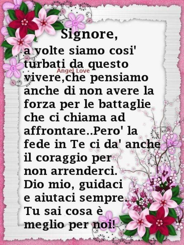 Signore, a volte siamo così turbati da questo vivere, che pensiamo anche di non avere la forza per le battaglie che ci chiama ad affrontare....