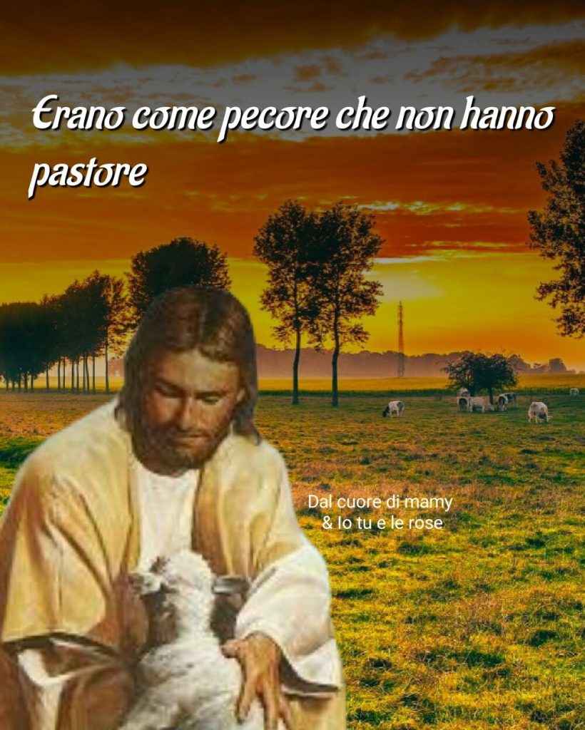 Erano come pecore che non hanno pastore