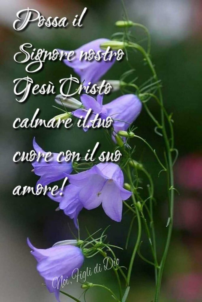 Possa il Signore nostro Gesù Cristo calmare il tuo cuore con il suo amore!