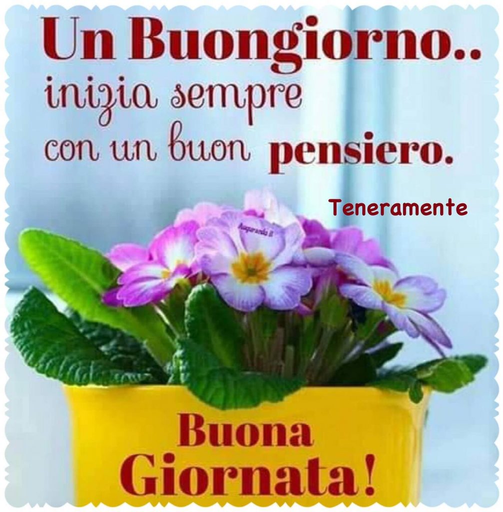 Un buongiorno..inizia sempre con buon pensiero. Buona Giornata