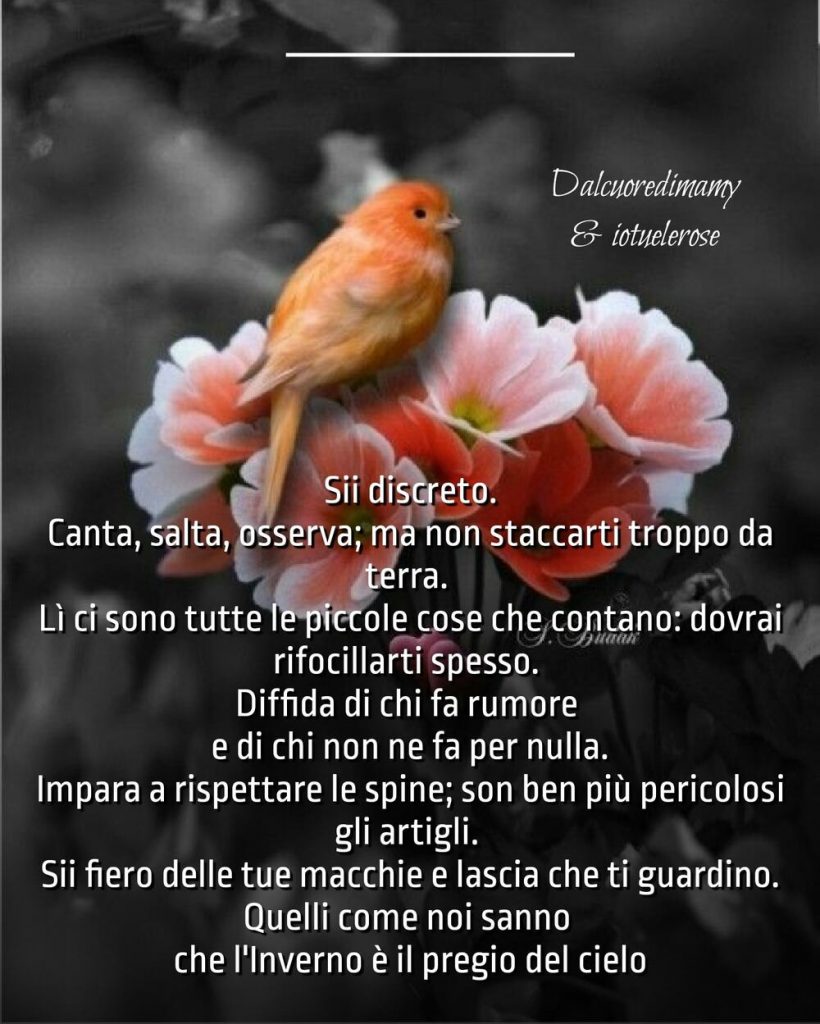 Bellissime frasi cristiane