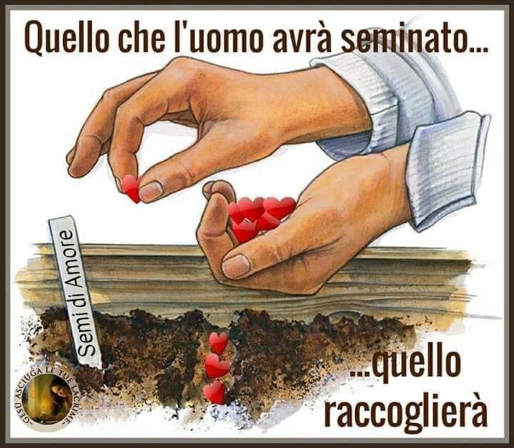 Quello che l'uomo avrà seminato...quello raccoglierà