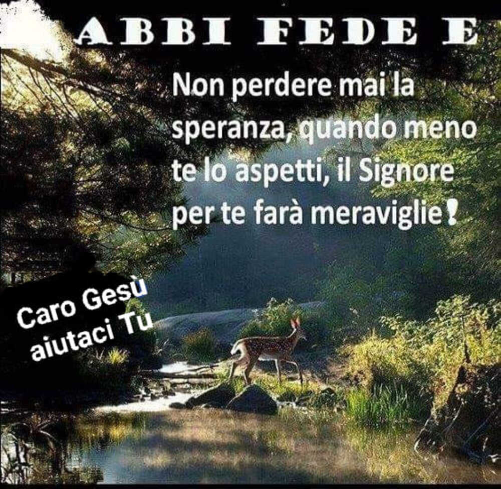 Abbi fede e non perdere mai la speranza, quando meno te lo aspetti, il Signore per te farà meraviglie!