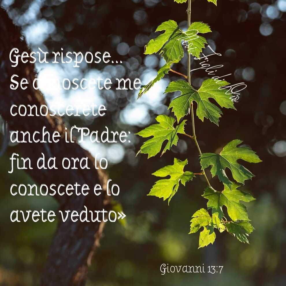 Gesù rispose...Se conoscete me, conoscerete il Padre: fin da ora lo conoscete e lo avete veduto (Giovanni 13:7)
