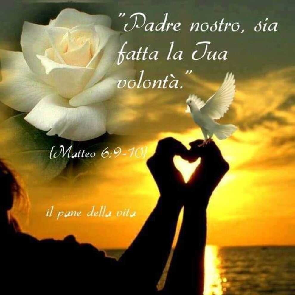 "Padre nostro, sia fatta la Tua volontà" (Matteo 6:9-10)