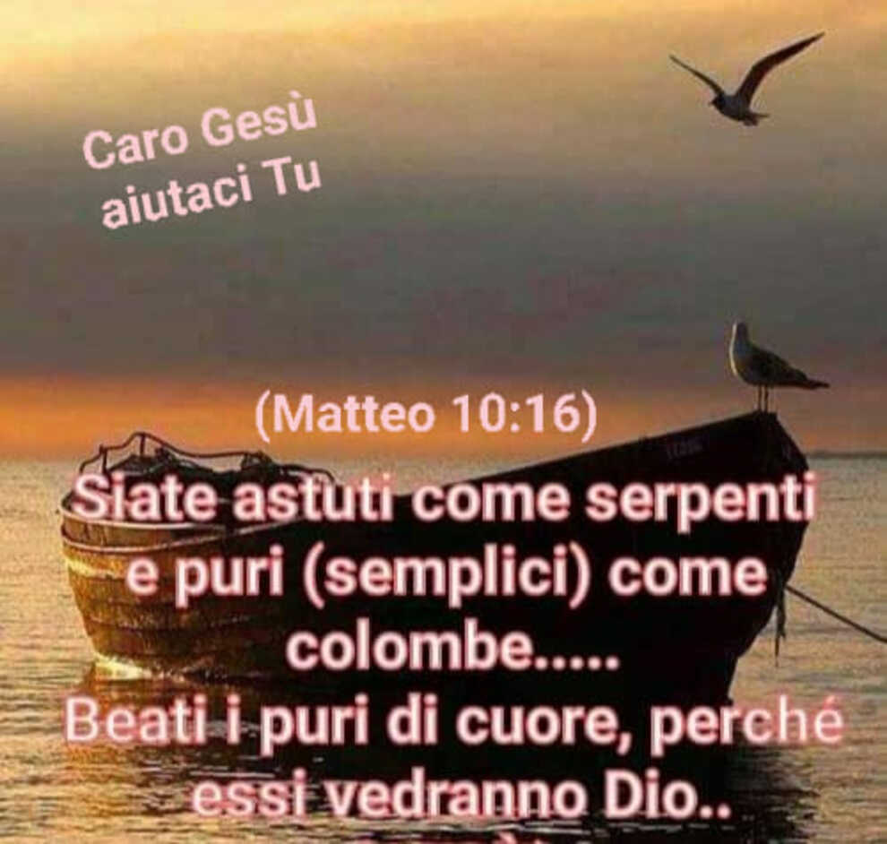 (Matteo 10:16) Siate astuti come serpenti e puri (Semplici) come colombe....Beati i puri di cuore, perché essi vedranno Dio...